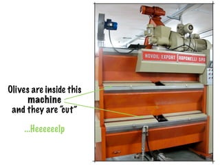 Olives are inside this
      machine
 and they are “cut”

    ...Heeeeeelp
 