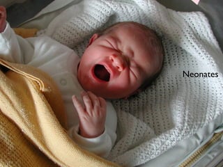 Neonates
 