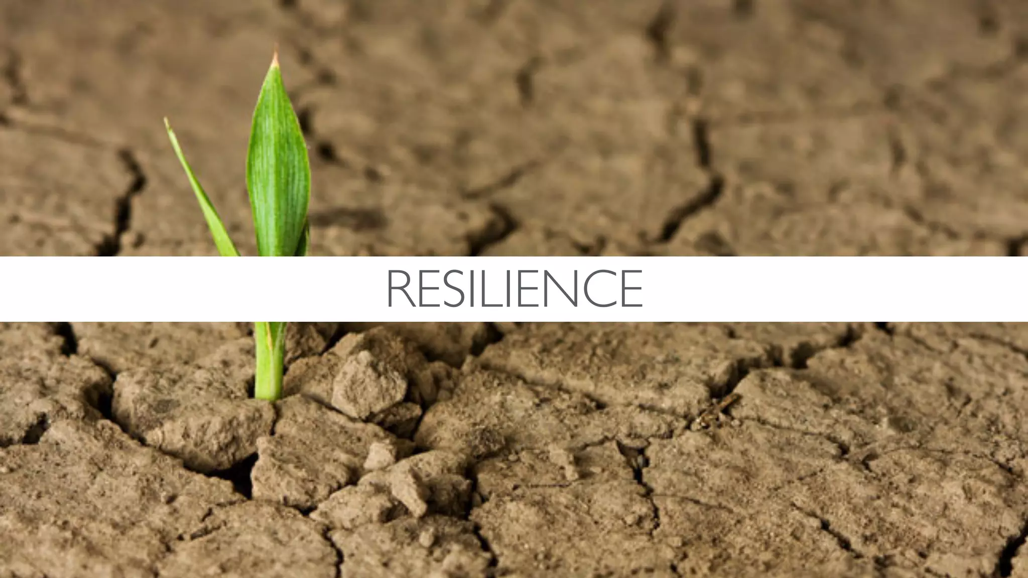 RESILIENCE
 