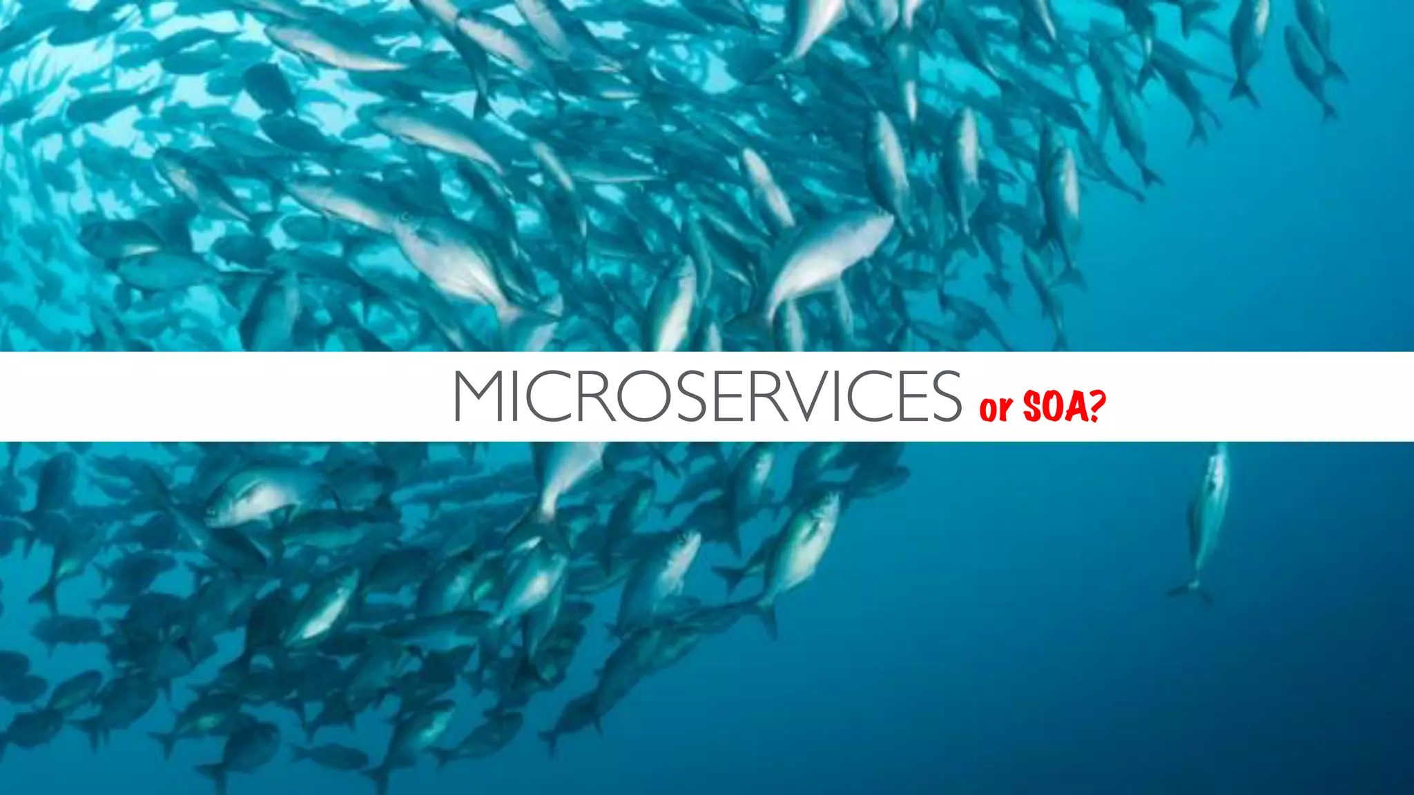 MICROSERVICES or SOA?
 