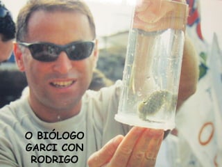 O BIÓLOGO
GARCI CON
RODRIGO

 