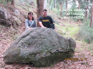 A NOSA AMIGA A
TARTARUGA
MARGARIDA

 