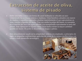 



Sobre una tabla o mesa con forma de canal inclinada se colocaba un saco
conteniendo las aceitunas enteras y maduras. Unos hombres calzados con zuecos
de madera o zapatillas especiales, pisaban repetidamente el saco apoyándose en
unas cuerdas colgantes del techo. Una vez suelta la pulpa del hueso, se remojaba
en el interior del saco con agua caliente y se reemprendía nuevamente la tarea del
pisado. Esta operación se repetía varias veces hasta extraer la mayor cantidad
posible de mosto. El aceite se decantaba en tinajas o piletas.
Este procedimiento usado en la antigüedad, todavía era empleado, a principios de
siglo, en pequeñas explotaciones agrícolas de zonas de la cuenca mediterránea con
escaso o nulo desarrollo tecnológico

 