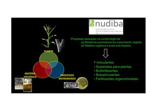 PLANTA
Propostas baseadas na combinação de:Propostas baseadas na combinação de:
((a)a) Bactérias promotoras do crescimento vegetal;Bactérias promotoras do crescimento vegetal;
((b)b) Matéria orgânica e suas subMatéria orgânica e suas sub--frações ;frações ;
PROCESSOS
MICROBIANOS
MATÉRIA
ORGÂNICA
•• InoculantesInoculantes
•• Substratos para plantasSubstratos para plantas
•• BiofertilizantesBiofertilizantes
•• BioestimulantesBioestimulantes
•• Fertilizantes organomineraisFertilizantes organominerais
 