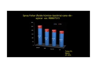 150
200
250
300
36,89
A
31,64
AB
29,21
B 28,73
B
TCH TPH
0
50
100
150
BACAH
BAC
Control
AH
221,15
A 183,31
AB
179,46
B 168,54
B
Tukey 5%
Mg/ha
23 -30%
 