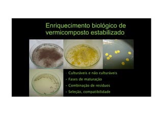 Enriquecimento biológico de
vermicomposto estabilizado
• Culturáveis e não culturáveis
• Fases de maturação
• Combinação de resíduos
• Seleção, compatibilidade
 