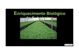 EEnriquecimento Biológiconriquecimento Biológico
de Substratosde Substratos
 