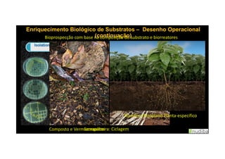 Enriquecimento Biológico de SubstratosEnriquecimento Biológico de Substratos –– Desenho OperacionalDesenho Operacional
(continuação)(continuação)Bioprospecção com base na composição do substrato e biorreatores
Composto e VermicompostoSerrapilheira: Ciclagem
Rizosfera/Rizoplano Planta-específico
 