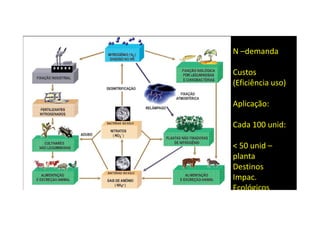 N –demanda
Custos
(Eficiência uso)
Aplicação:
Cada 100 unid:
< 50 unid –
planta
Destinos
Impac.
Ecológicos
 