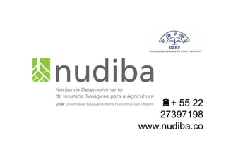 + 55 22
27397198
www.nudiba.co
m.br
 