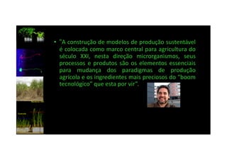 •• ““A construção de modelos de produção sustentável
é colocada como marco central para agricultura do
século XXI, nesta direção microrganismos, seus
processos e produtos são os elementos essenciais
para mudança dos paradigmas de produção
agrícola e os ingredientes mais preciosos do “boom
tecnológico” que esta por vir”.
agrícola e os ingredientes mais preciosos do “boom
tecnológico” que esta por vir”.
 