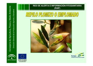 Consejería de Agricultura, Pesca y Medio Ambiente
   Dirección General de la Producción Agrícola y Ganadera
                                                                           (RAIF)
                                                        RED DE ALERTA E INFORMACIÓN FITOSANITARIA
 