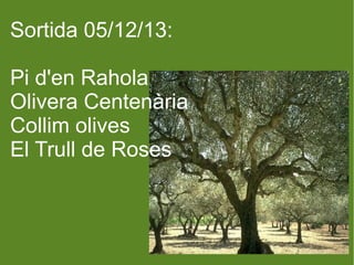 Sortida 05/12/13:
Pi d'en Rahola
Olivera Centenària
Collim olives
El Trull de Roses

 