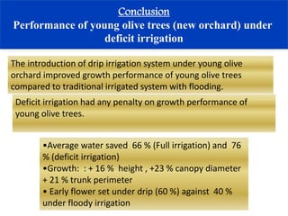 Effect of Deficit Irrigation on Vegetative Growth | PDF