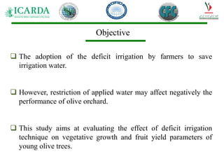 Effect of Deficit Irrigation on Vegetative Growth | PDF