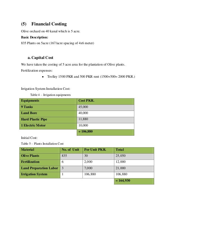 Olive business plan image