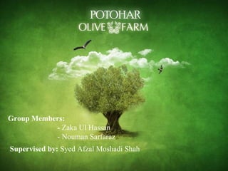 Supervised by:  Syed Afzal Moshadi Shah Group Members:  -  Zaka Ul Hassan   - Nouman Sarfaraz 