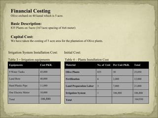 Financial Costing Olive orchard on 40 kanal which is 5 acre. Basic Description: 835 Plants on 5acre (167/acre spacing of 4x6 meter) Capital Cost: We have taken the costing of 5 acre area for the plantation of Olive plants. Table 3  –  Irrigation equipments Irrigation System Installation Cost:  Table 4 – Plants Installation Cost Initial Cost: Equipments Cost PKR. 9 Water Tanks 45,000 Land Bore 40,000 Hard Plastic Pipe 11,880 One Electric Motor 10,000 Total 106,880 Material No. of  Unit Per Unit PKR. Total Olive Plants 835 30 25,050 Fertilization 6 2,000 12,000 Land Preparation Labor 3 7,000 21,000 Irrigation System 1 106,880 106,880 Total 164,930 