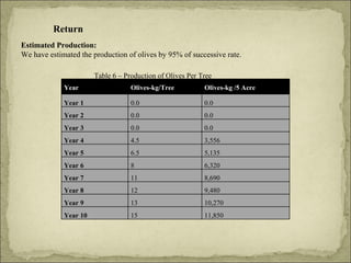Return Estimated Production: We have estimated the production of olives by 95% of successive rate. Table 6 – Production of Olives Per Tree Year Olives-kg/Tree Olives-kg /5 Acre Year 1 0.0 0.0 Year 2 0.0 0.0 Year 3 0.0 0.0 Year 4 4.5 3,556 Year 5 6.5 5,135 Year 6 8 6,320 Year 7 11 8,690 Year 8 12 9,480 Year 9 13 10,270 Year 10 15 11,850 
