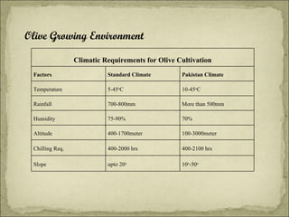 Olive Growing Environment Climatic Requirements for Olive Cultivation Factors Standard Climate Pakistan Climate Temperature 5-45 o C 10-45 o C Rainfall 700-800mm More than 500mm Humidity 75-90% 70% Altitude 400-1700meter 100-3000meter Chilling Req. 400-2000 hrs 400-2100 hrs Slope  upto 20 o 10 o -50 o 
