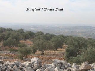 Marginal / Barren lands Marginal / Barren Land 