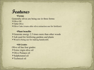 Features

•Forms
Generally olives are being use in three forms:
Olive Oil
Table Olive
Olive Cake (waste after olive extraction use for fertilizer)

•Plant benefits
Generate energy 2.5 times more than other woods
Ash used for fertilizing gardens and plants
Wood is being use for making handicrafts
•Oil Grades

Olive oil has four grades:
Extra virgin olive oil
Olive Pomace oil
Sulphonated oil
Technical oil

 