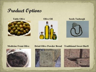 Product Options
Table Olive

Medicine From Olive

Olive Oil

Seeds Tasbeegh

Dried Olive Powder Bread Traditional Sweet Burfi

 