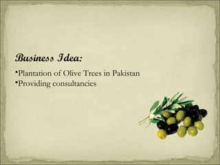 Business Idea:
•Plantation of Olive Trees in Pakistan
•Providing consultancies

 