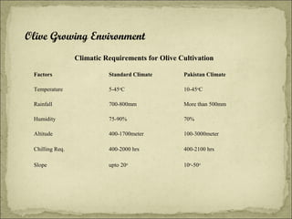 Olive Growing Environment
Climatic Requirements for Olive Cultivation
Factors

Standard Climate

Pakistan Climate

Temperature

5-45oC

10-45oC

Rainfall

700-800mm

More than 500mm

Humidity

75-90%

70%

Altitude

400-1700meter

100-3000meter

Chilling Req.

400-2000 hrs

400-2100 hrs

Slope

upto 20o

10o-50o

 