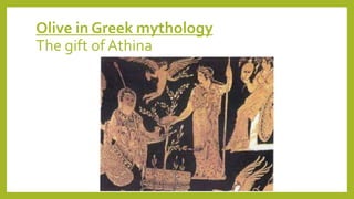 Olive in Greek mythology
The gift of Athina
 