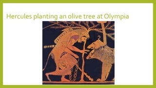 Hercules planting an olive tree at Olympia
 