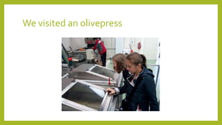 We visited an olivepress
 