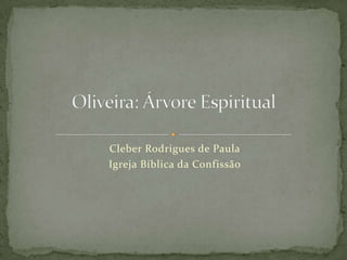 Cleber Rodrigues de Paula Igreja Bíblica da Confissão Oliveira: Árvore Espiritual    