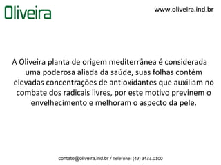 www.oliveira.ind.br




A Oliveira planta de origem mediterrânea é considerada
   uma poderosa aliada da saúde, suas folhas contém
elevadas concentrações de antioxidantes que auxiliam no
 combate dos radicais livres, por este motivo previnem o
      envelhecimento e melhoram o aspecto da pele.




            contato@oliveira.ind.br / Telefone: (49) 3433.0100
 