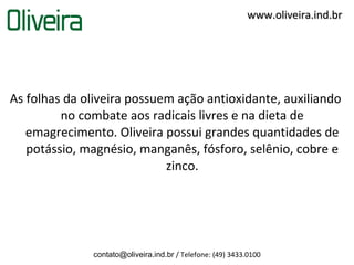 www.oliveira.ind.br




As folhas da oliveira possuem ação antioxidante, auxiliando
         no combate aos radicais livres e na dieta de
   emagrecimento. Oliveira possui grandes quantidades de
   potássio, magnésio, manganês, fósforo, selênio, cobre e
                            zinco.




              contato@oliveira.ind.br / Telefone: (49) 3433.0100
 