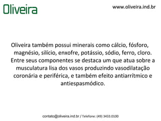 www.oliveira.ind.br




Oliveira também possui minerais como cálcio, fósforo,
 magnésio, silício, enxofre, potássio, sódio, ferro, cloro.
Entre seus componentes se destaca um que atua sobre a
  musculatura lisa dos vasos produzindo vasodilatação
 coronária e periférica, e também efeito antiarrítmico e
                     antiespasmódico.




            contato@oliveira.ind.br / Telefone: (49) 3433.0100
 