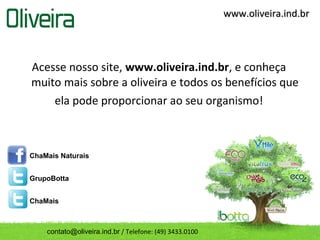 www.oliveira.ind.br




Acesse nosso site, www.oliveira.ind.br, e conheça
muito mais sobre a oliveira e todos os benefícios que
    ela pode proporcionar ao seu organismo!



ChaMais Naturais


GrupoBotta


ChaMais



    contato@oliveira.ind.br / Telefone: (49) 3433.0100
 