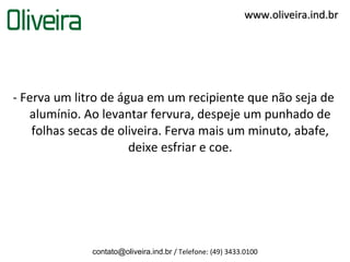 www.oliveira.ind.br




- Ferva um litro de água em um recipiente que não seja de
   alumínio. Ao levantar fervura, despeje um punhado de
    folhas secas de oliveira. Ferva mais um minuto, abafe,
                      deixe esfriar e coe.




              contato@oliveira.ind.br / Telefone: (49) 3433.0100
 