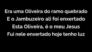 Era uma Oliveira do ramo quebrado
E o Jambuzeiro ali foi enxertado
Esta Oliveira, é o meu Jesus
Fui nele enxertado hoje tenho luz
 