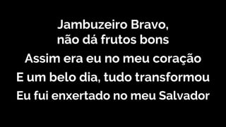 Jambuzeiro Bravo,
não dá frutos bons
Assim era eu no meu coração
E um belo dia, tudo transformou
Eu fui enxertado no meu Salvador
 