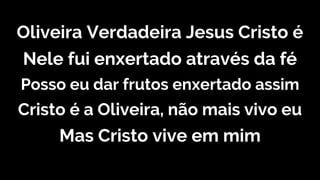 Oliveira Verdadeira Jesus Cristo é
Nele fui enxertado através da fé
Posso eu dar frutos enxertado assim
Cristo é a Oliveira, não mais vivo eu
Mas Cristo vive em mim
 