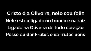 Cristo é a Oliveira, nele sou feliz
Nele estou ligado no tronco e na raiz
Ligado na Oliveira de todo coração
Posso eu dar Frutos e dá frutos bons
 