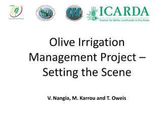 Olive Irrigation
Management Project –
Setting the Scene
V. Nangia, M. Karrou and T. Oweis
 