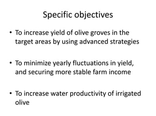 Specific objectives
• To increase yield of olive groves in the
target areas by using advanced strategies
• To minimize yearly fluctuations in yield,
and securing more stable farm income
• To increase water productivity of irrigated
olive
 