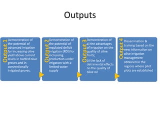 Outputs
Output1
Demonstration of
the potential of
advanced irrigation
for increasing olive
yield above current
levels in rainfed olive
groves and in
conventionally
irrigated groves.
Output2
Demonstration of
the potential of
regulated deficit
irrigation (RDI) for
increasing
production under
irrigation with a
limited water
supply
Output3
Demonstration of
a) the advantages
of irrigation on the
quality of olive
fruits;
b) the lack of
detrimental effects
on the quality of
olive oil
Output4
Dissemination &
training based on the
new information on
olive irrigation
management
obtained in the
regions where pilot
plots are established
 