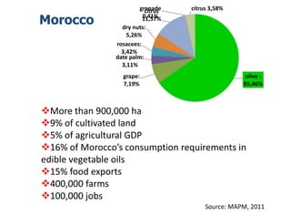 More than 900,000 ha
9% of cultivated land
5% of agricultural GDP
16% of Morocco’s consumption requirements in
edible vegetable oils
15% food exports
400,000 farms
100,000 jobs
Source: MAPM, 2011
olive :
65,46%
grape:
7,19%
date palm:
3,11%
rosacees:
3,42%
dry nuts:
5,26%
citrus
11,57%
grenade
0,41%
citrus 3,58%
Morocco
 