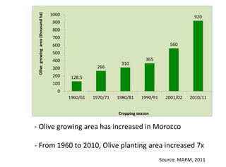128.5
266
310
365
560
920
0
100
200
300
400
500
600
700
800
900
1000
1960/61 1970/71 1980/81 1990/91 2001/02 2010/11
Olivegrowingarea(thousandha)
Cropping season
- Olive growing area has increased in Morocco
- From 1960 to 2010, Olive planting area increased 7x
Source: MAPM, 2011
 