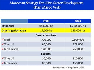 Moroccan Strategy For Olive Sector Development
(Plan Maroc Vert)
2009 2020
Total Area 680,000 ha 1,220,000 ha
Drip irrigation Area 17,000 ha 150,000 ha
Production (ton)
Total 700,000 2,500,000
Olive oil 60,000 273,000
Table olives 120,000 250,000
Exports
Olive oil 16,000 120,000
Table olive 60,000 150,000
Source: Contrat programme olivier
 