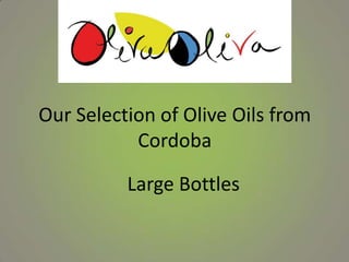 Our Selection of Olive Oils from
Cordoba
Large Bottles
 