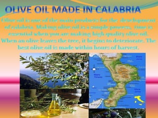 Olive oil made in Calabria
